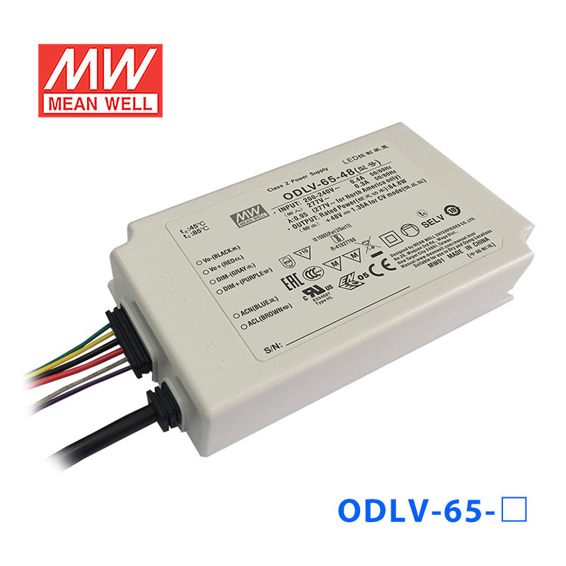 Mean Well ODLV-65A-48 Power Supply 65W 48V (Auxiliary DC output)