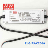 Mean Well ELG-75-C700A Power Supply 75W 700mA - Adjustable - PHOTO 2