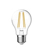 Energetic SupValue A60 Vintage Globe Filament 112139