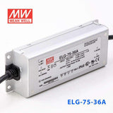 Mean Well ELG-75-36A Power Supply 75W 36V - Adjustable 2.1A - PHOTO 1