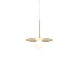 Pablo Bola Disc Pendant 12" - PHOTO 1