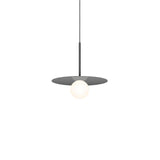 Pablo Bola Disc Pendant 12" - PHOTO 21