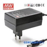 Mean Well GSM36E24-P1J Power Supply 36W 24V 1.5A