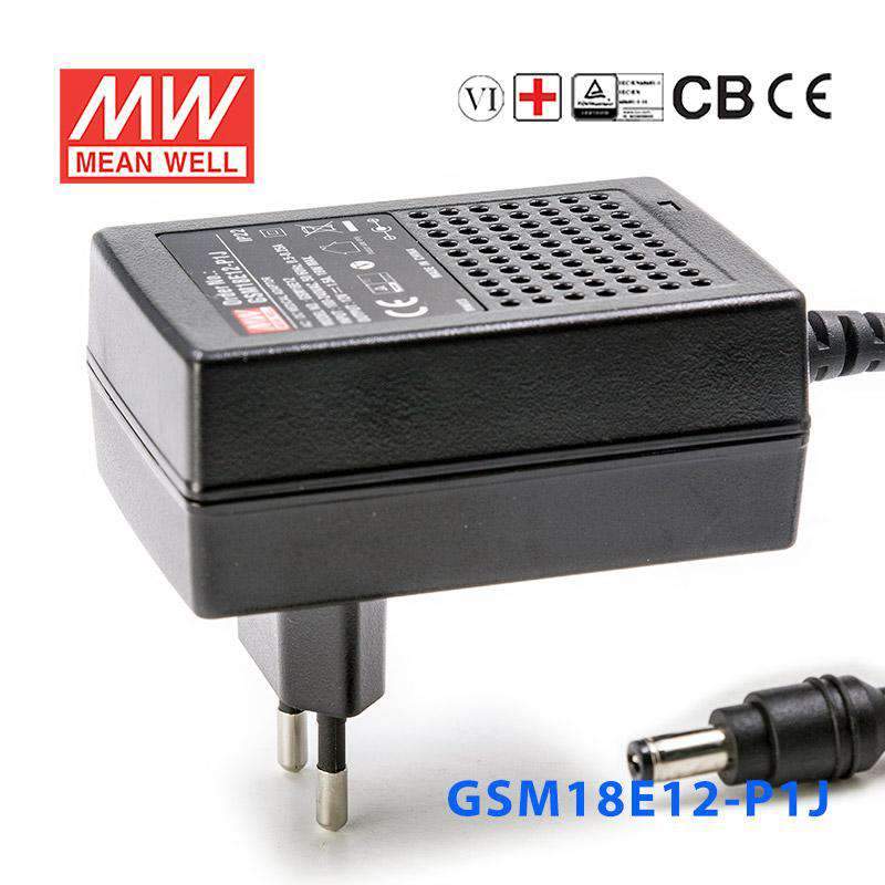 Mean Well GSM18E12-P1J Power Supply 18W 12V 1.5A