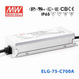 Mean Well ELG-75-C700A Power Supply 75W 700mA - Adjustable