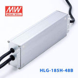 Mean Well HLG-185H-48B Power Supply 185W 48V- Dimmable 3.9A - PHOTO 4