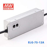 Mean Well ELG-75-12A Power Supply 60W 12V - Adjustable - PHOTO 4