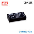 Mean Well DKM30G-12N 2"x1" Package DC-DC Converter 30W 12V, Single Output 1.25A