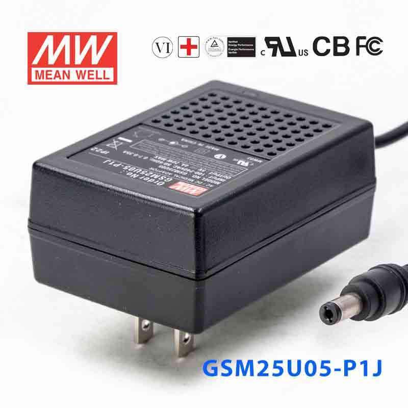 Mean Well GSM25U05-P1J Power Supply 20W 5V
