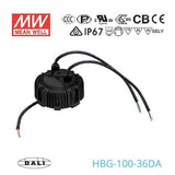 Mean Well HBG-100-36DA Power Supply 100W 36V - DALI