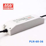 Mean Well PLN-60-36 Power Supply 60W 36V - IP64 - PHOTO 3