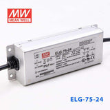 Mean Well S-ELG-75-24 Power Supply 75W 24V with AU/NZ plug 3.15A - PHOTO 1