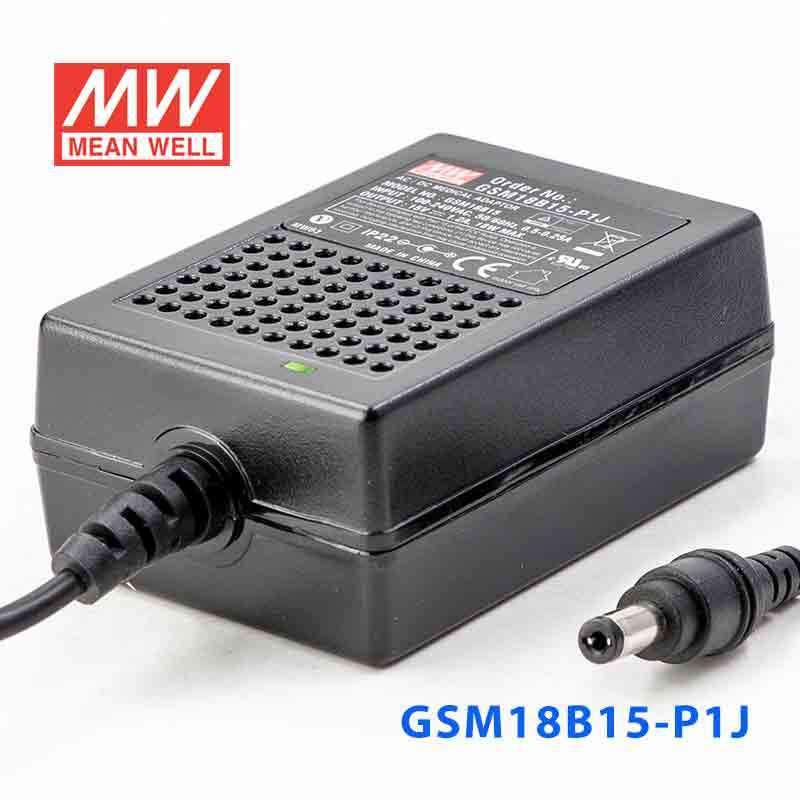 Mean Well GSM18B15-P1J Power Supply 18W 15V 1.2A - PHOTO 1