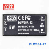 Mean Well DLW05A-12 DC-DC Converter - 5W - 9~18V in ±12V out 208mA - PHOTO 2