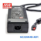 Mean Well GC220A48-AD1 Portable Chargers 217.6W 54.4V 4A - Green Adaptor - PHOTO 3