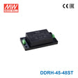 Mean Well DDRH-45-48ST Ultra Wide Input DC-DC Converter, 45W 48V, Screw Terminal Type 938mA
