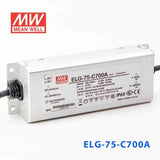 Mean Well ELG-75-C700A Power Supply 75W 700mA - Adjustable - PHOTO 1