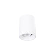 Archilight Neo 10W Round Surface Downlight