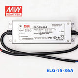 Mean Well ELG-75-36A Power Supply 75W 36V - Adjustable 2.1A - PHOTO 2