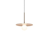 Pablo Bola Disc Pendant 12" - PHOTO 20
