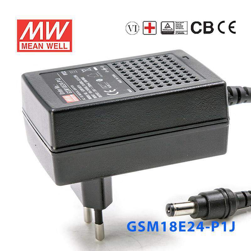 Mean Well GSM18E24-P1J Power Supply 18W 24V 750mA
