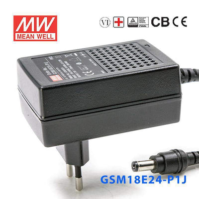 Mean Well GSM18E24-P1J Power Supply 18W 24V 750mA