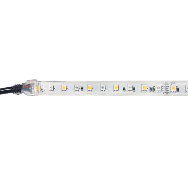 LED Strip 30LEDs/m RGB + 30LEDs/m Warm White - 14.4W/m 24V IP68 - 5m Roll
